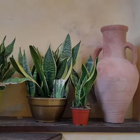 Alimat Appartement Catane