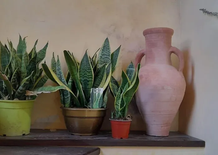 Alimat Apartamento Catânia